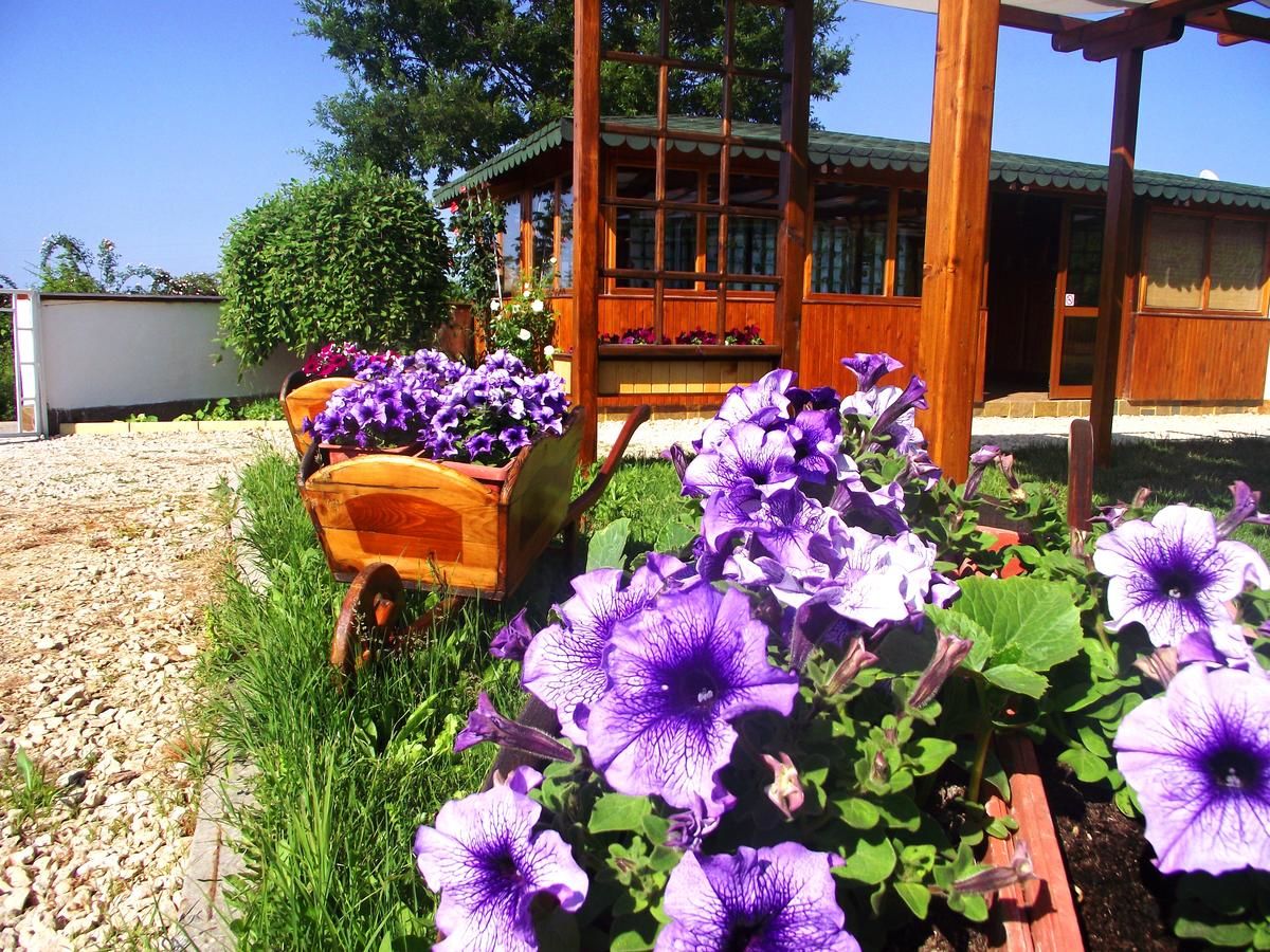 Гостевой дом Lozyata Guest House Обзор-19