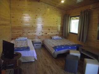 Гостевой дом Lozyata Guest House Обзор Трехместный номер с видом на горы-4