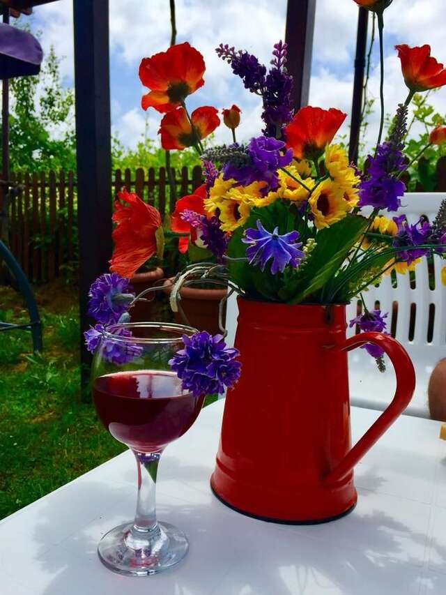 Гостевой дом Lozyata Guest House Обзор-13
