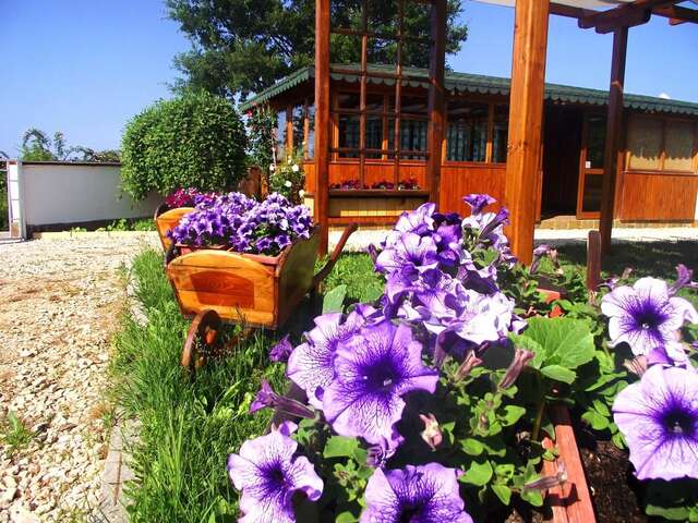 Гостевой дом Lozyata Guest House Обзор-18