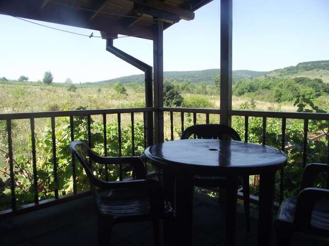 Гостевой дом Lozyata Guest House Обзор-23