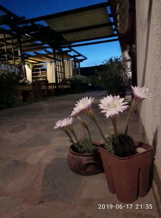 Гостевой дом Lozyata Guest House Обзор-11
